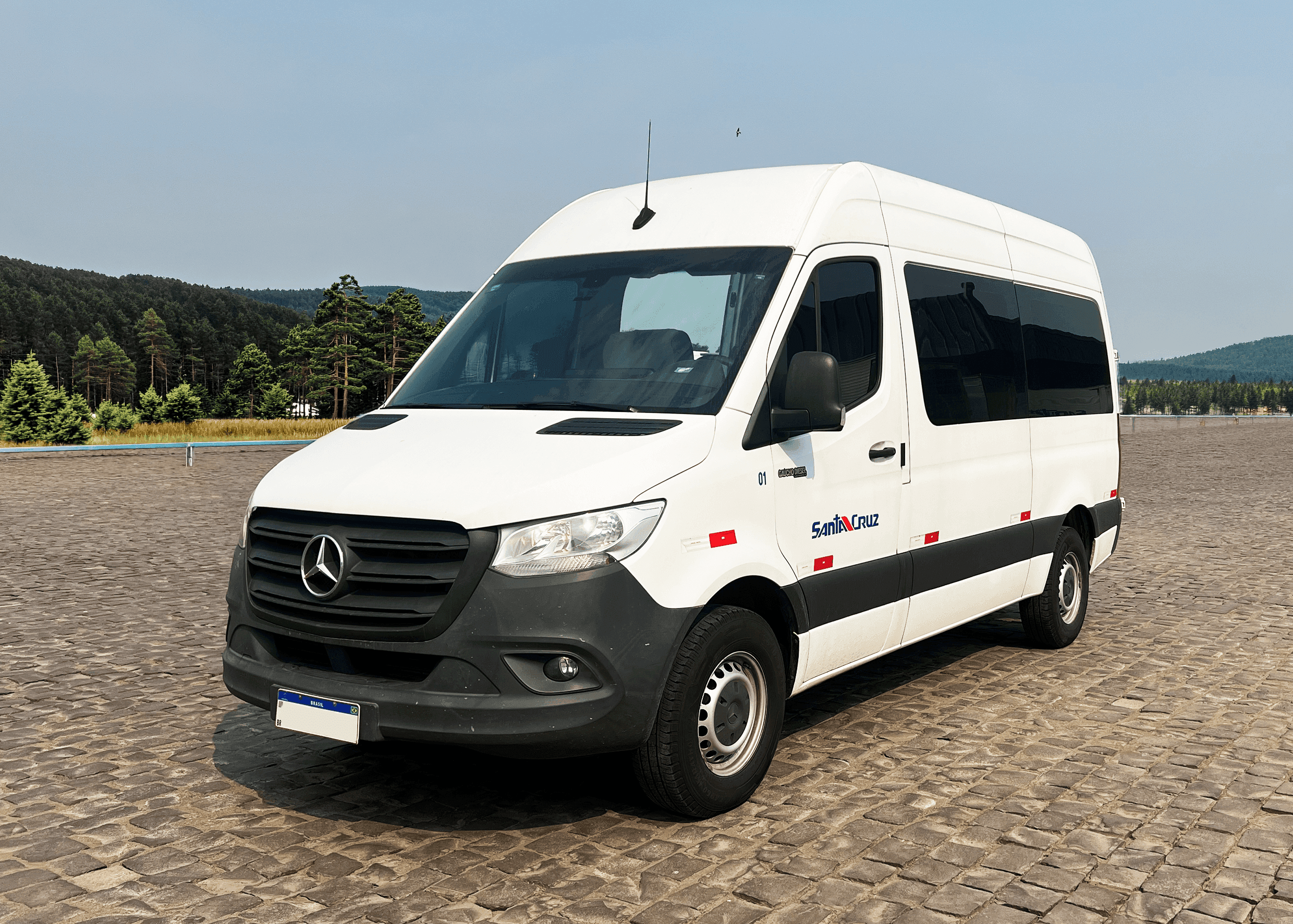Van 8 lugares